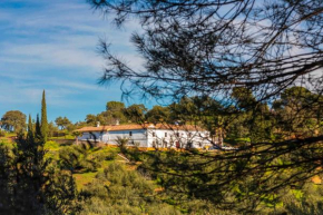 Isla Virgen, Villaviciosa De Cordoba